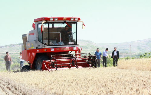 科技赋能麦浪香 伊川县400台收割机“三夏”显身手