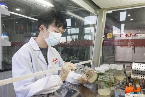 种芯引领，农业科技助推产业提档升级