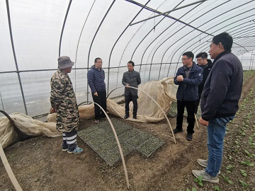 科技赋能百业，智慧农业守护常熟种质未来