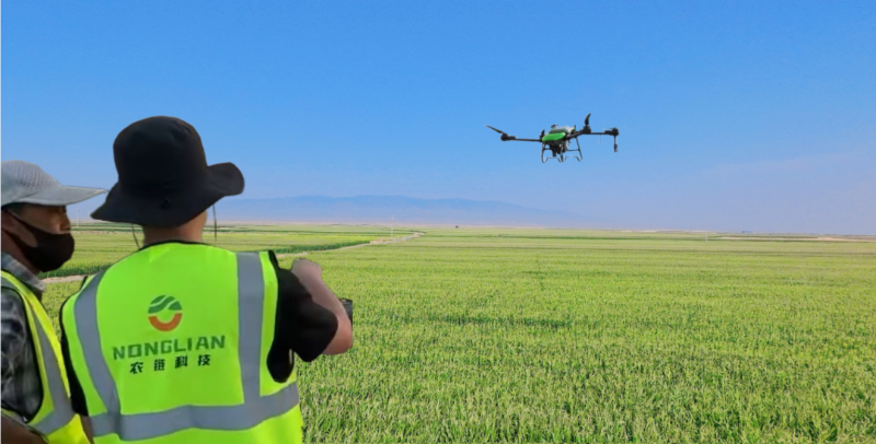 沣西新城5家企业挂牌“专精特新”专板，农业科技研发成为亮点