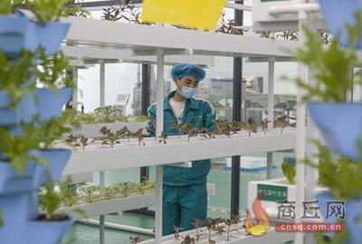 河南商丘 坚持“项目为王” 致力产业倍增 农业科技研发赋能高质量发展