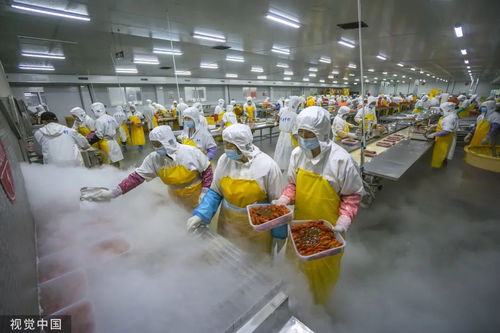 打1折的临期食品，到底能不能吃？农业科技研发给出答案