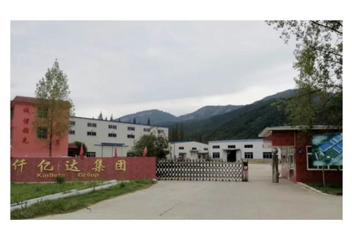 炭基肥创新引擎，绿色农业新篇章——福建龙创农业科技的自主创新之路