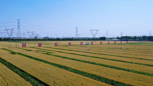 河北保定 科技创新为发展注入澎湃动能