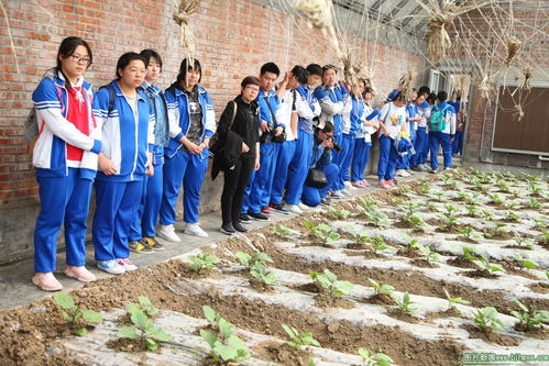 科技赋能农业 创新点亮未来——高二年级天安农业种植研发基地社会实践活动纪实