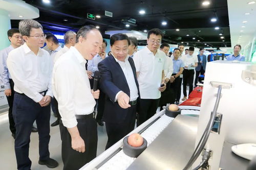 大力培育壮大农业科技领军企业，加快推进高水平农业科技自立自强