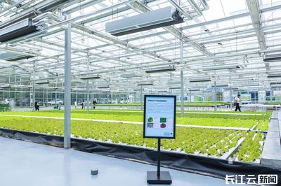 2023年武汉种业博览会六月启幕 农业科技研发引领产业新篇